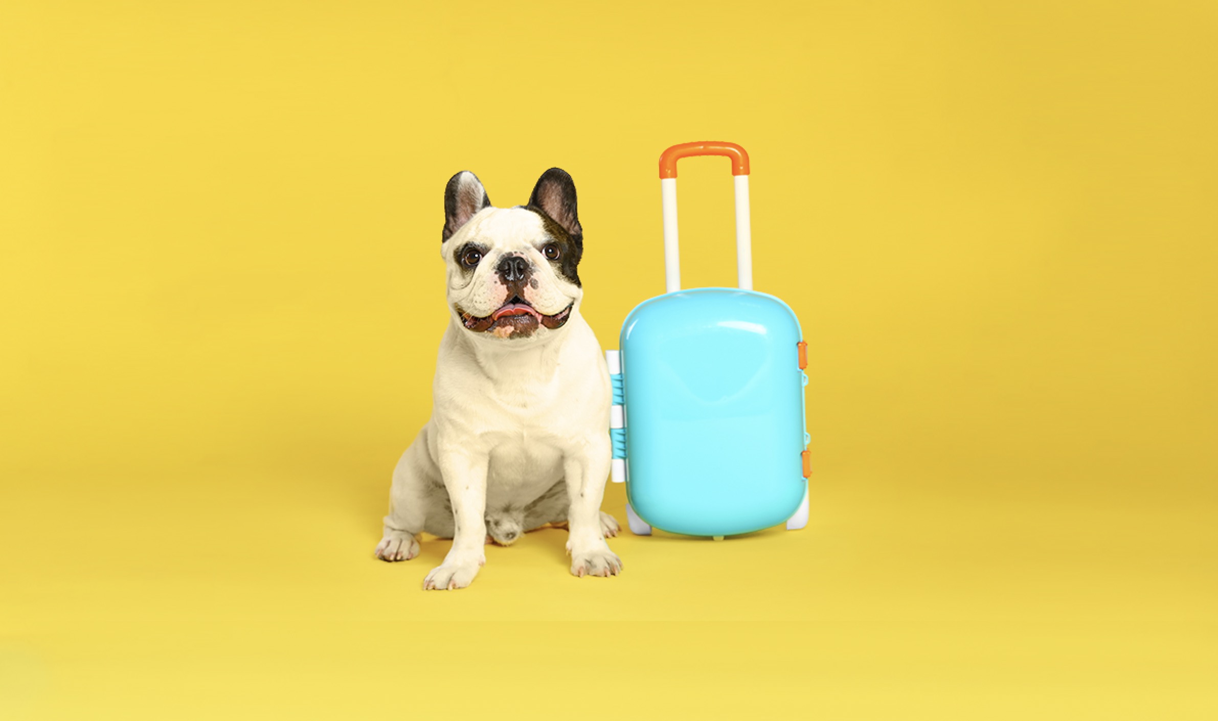 (And they love us back!) We love puppies!